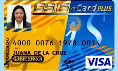 GSIS eCard400 GSIS eCard400