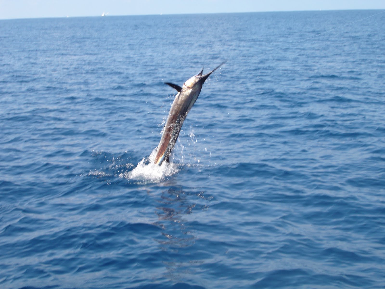 [Costa+Rica+Durango+004.jpg]