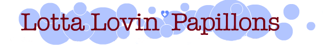 Lotta Lovin Papillons