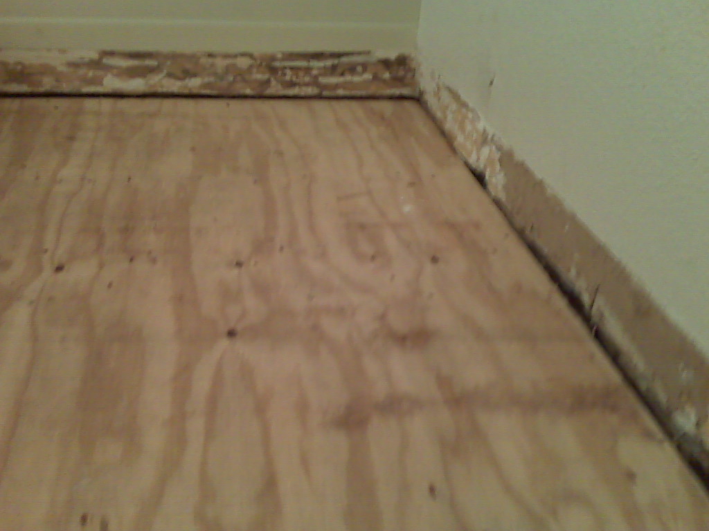 Dry Rot and Water Damage Repairs, Restoration