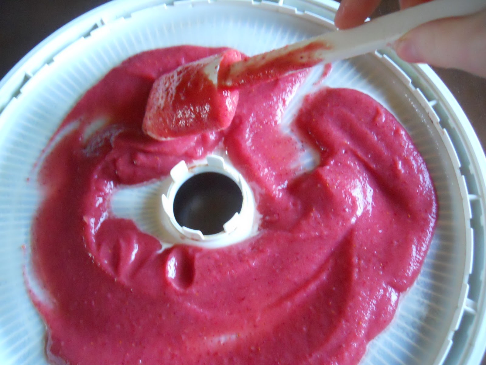 Jesse's Kitchen Apple Cranberry Fruit Leather