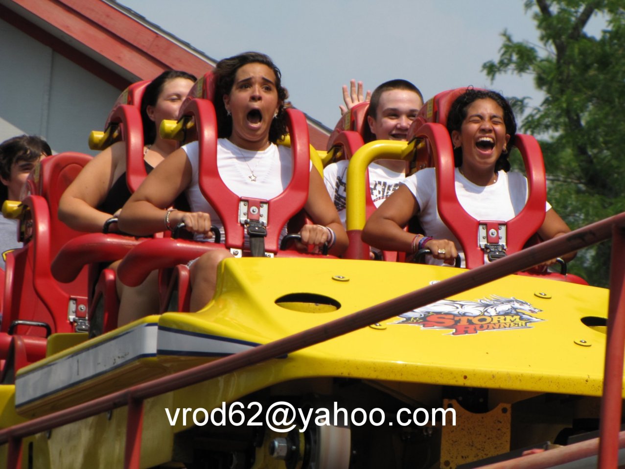 Essay On Fear Of Rollercoasters