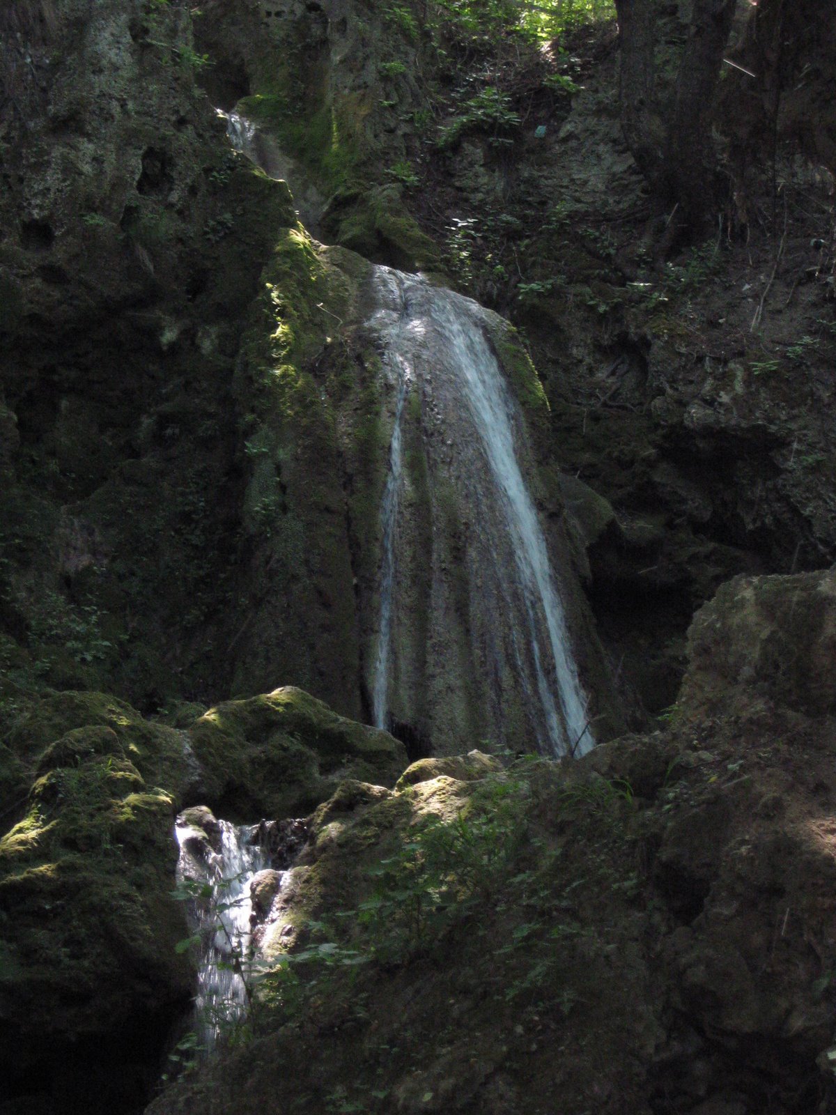 [IMG_0030.JPG]