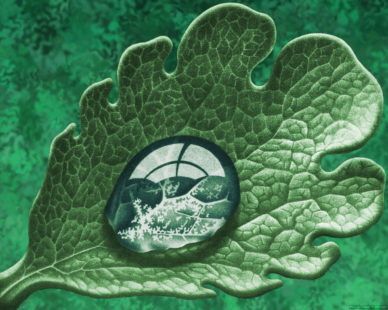 [dewdrop.jpg]