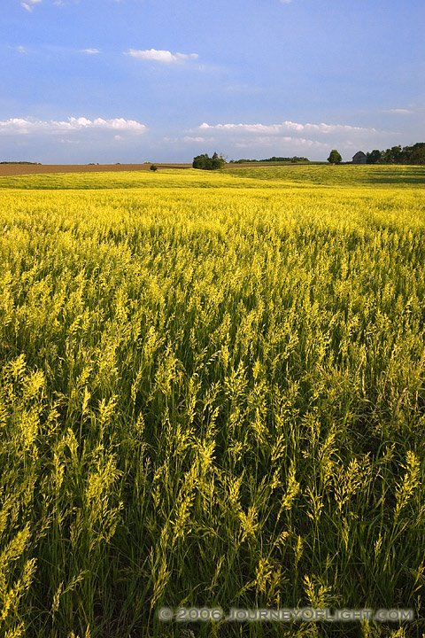 [IMG_3513_easternnefield.jpg]