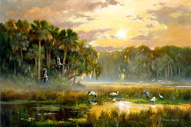 florida land report saunders