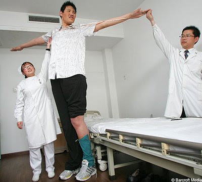 World Tallest Man World Tallest Man