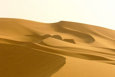Wonderful Deserts Wonderful Deserts