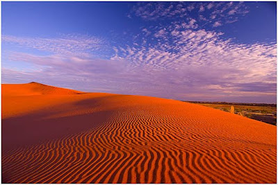 Wonderful Deserts Wonderful Deserts
