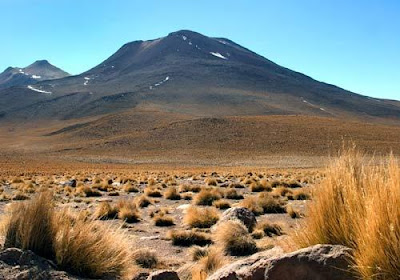 Wonderful Deserts Wonderful Deserts