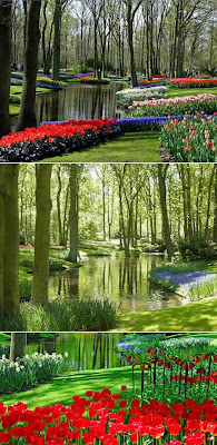 World Most Amazing Beautiful Gardens World Most Amazing Beautiful Gardens