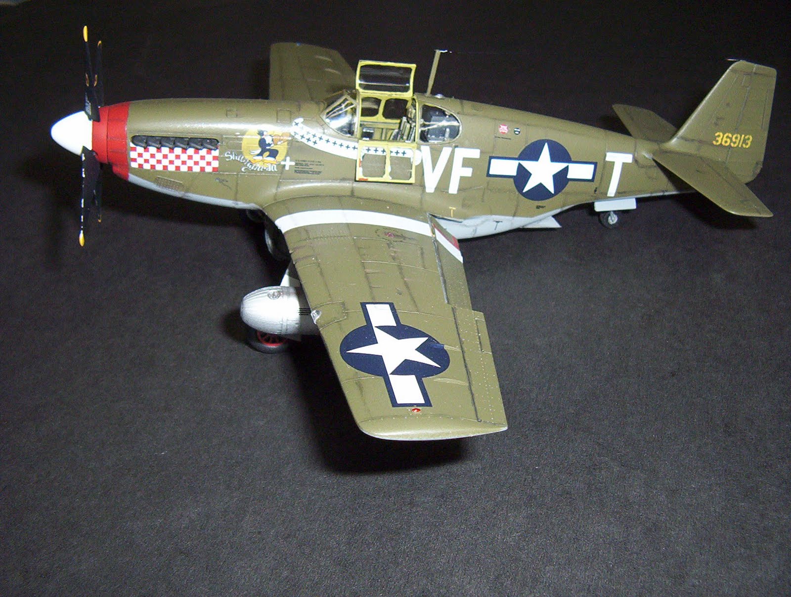 Scale Model Hobby P51 Mustang Collection.