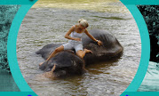 Pinnawela Elephant Orphanage, Sri Lanka