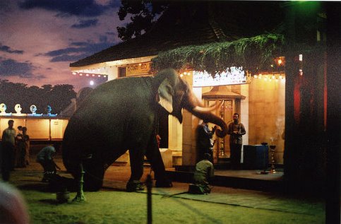 [17208844_29aad6b0cf.jpg]