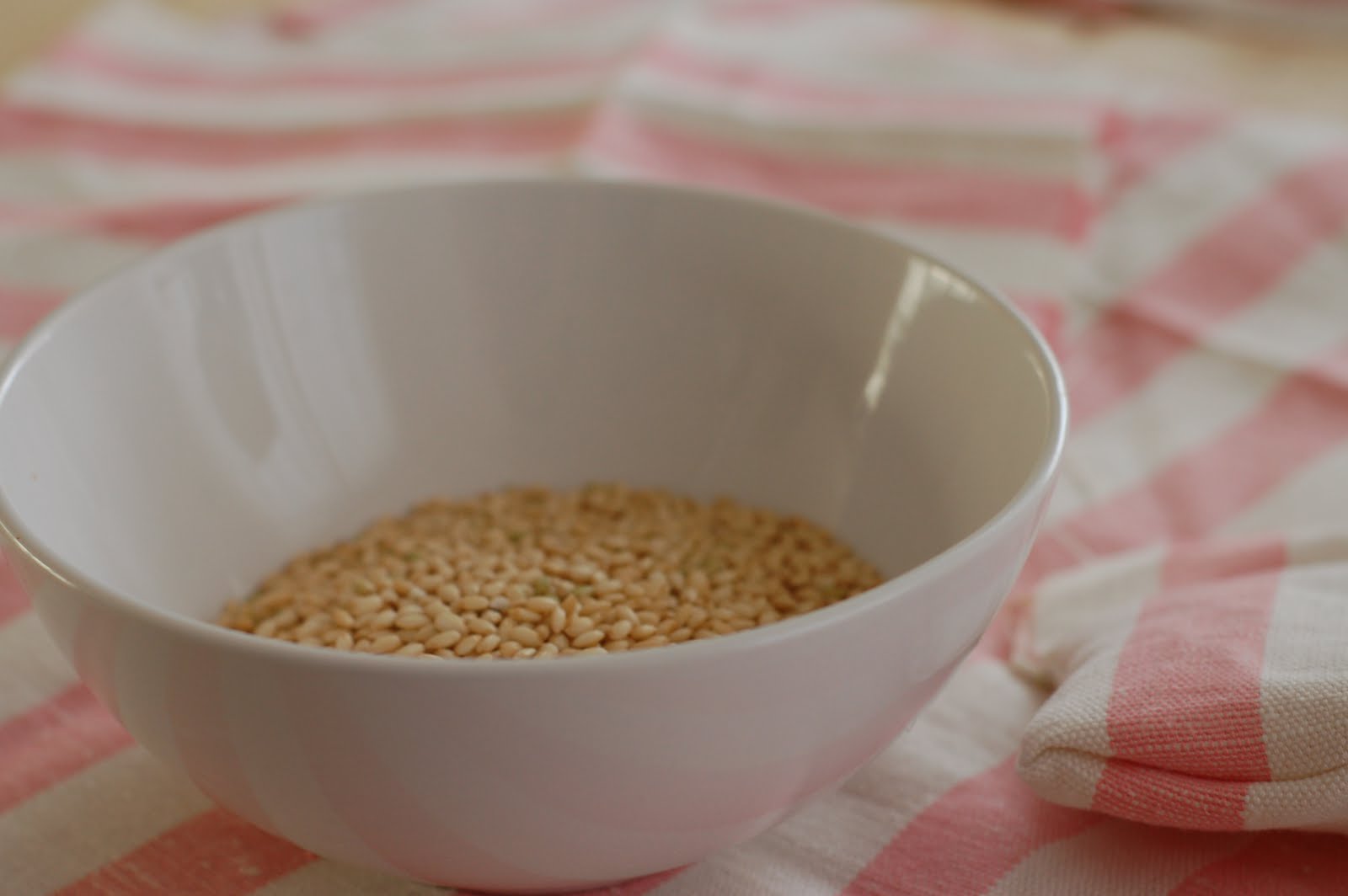 Musings on the Simple Life Bean Bag Tutorial