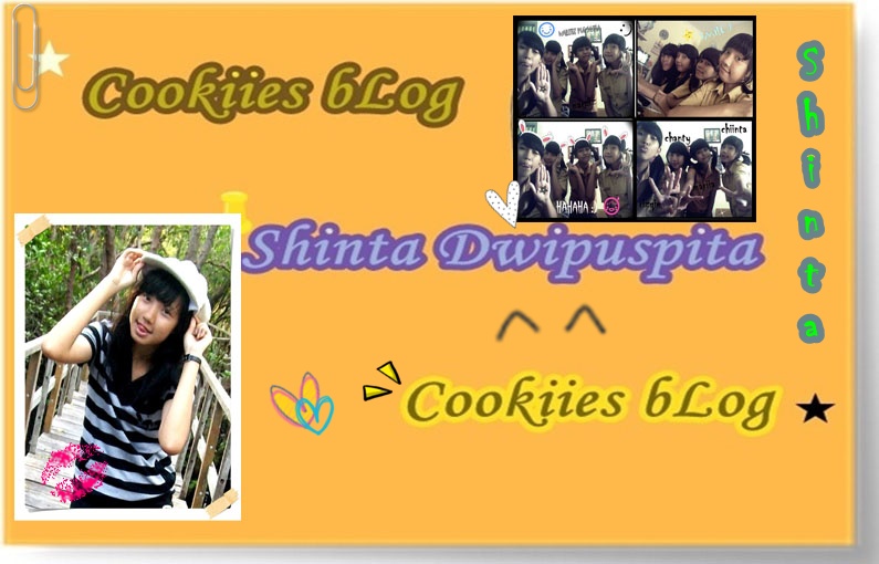 Cokiies-blog