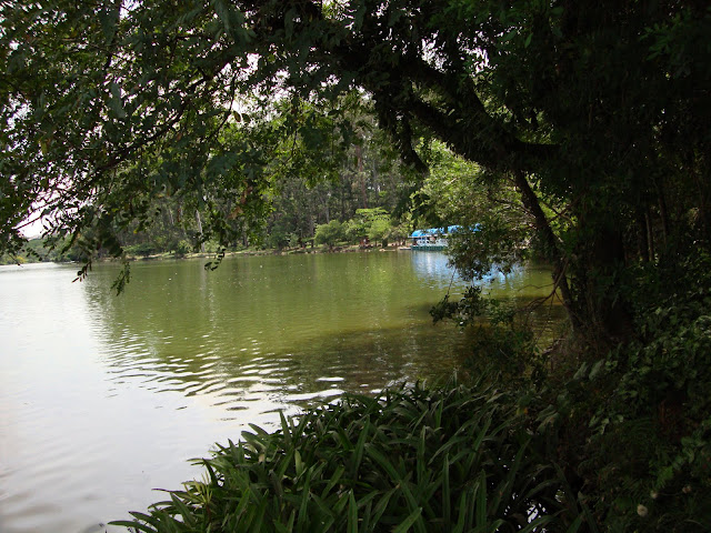 Parque Portugal, Campinas, SP Imagem/J Araújo
