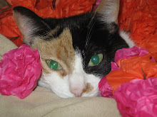 [LaceysPics+215.jpg]