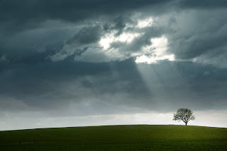 Shift+R improves the quality of this image. Shift+A improves the quality of all images on this page. undefined