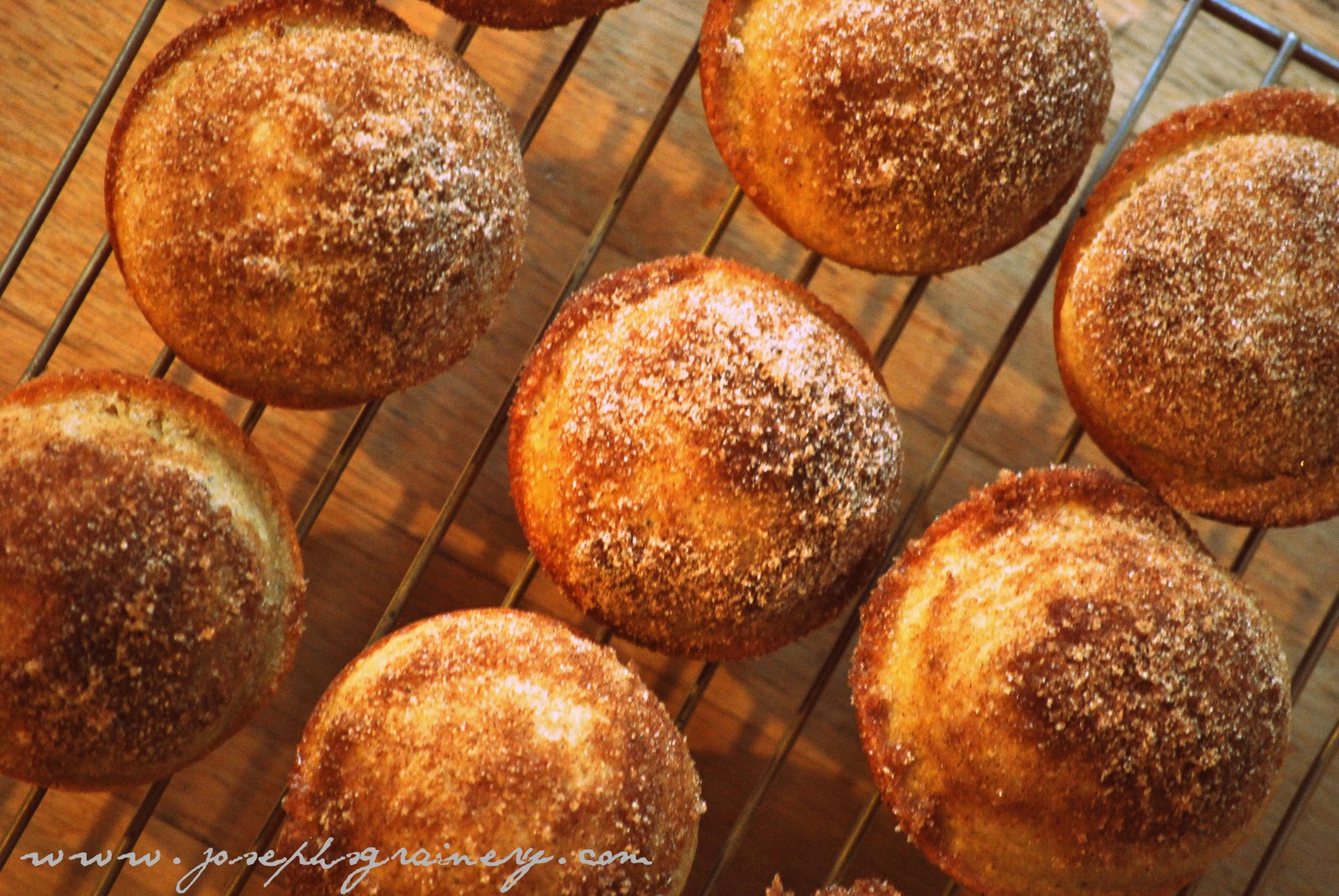 Joseph's Grainery Donut Muffins with Whole Wheat Flour