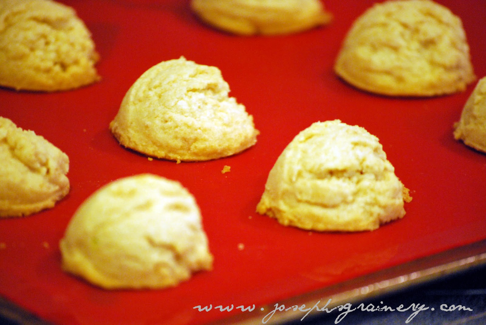 Joseph's Grainery Whole Wheat Scoop Cookies