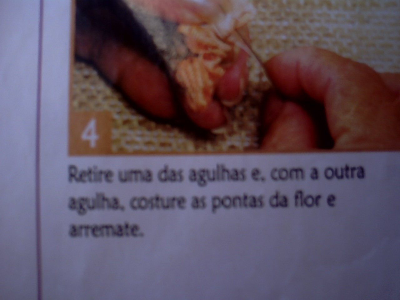 [CRIM0254.JPG]