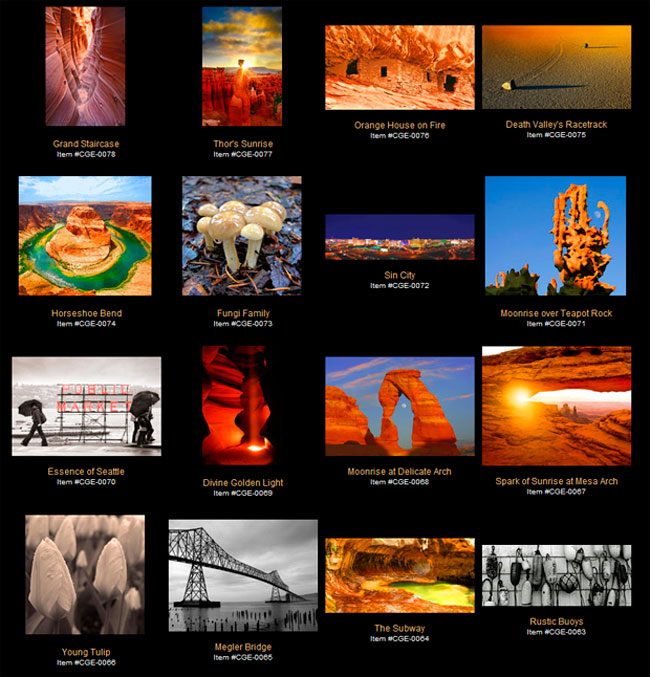 visionlight gallery