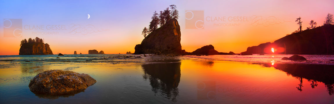 second beach in the olympic national park on the washington coast near lapush, wa