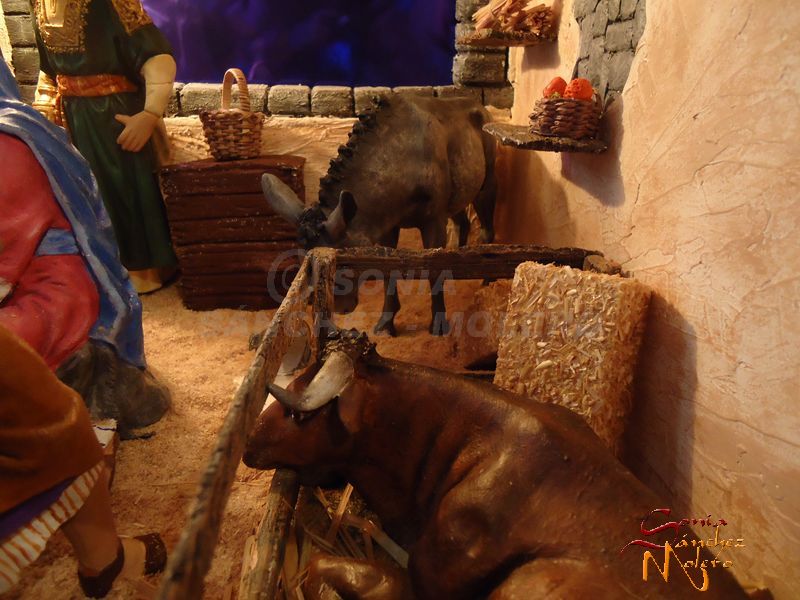 Nacimiento Crivi 015