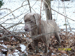 Max's Snow Day