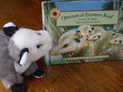 possum stuffed animal