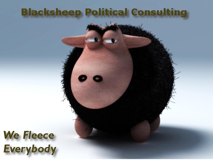blacksheepconsulting.jpg