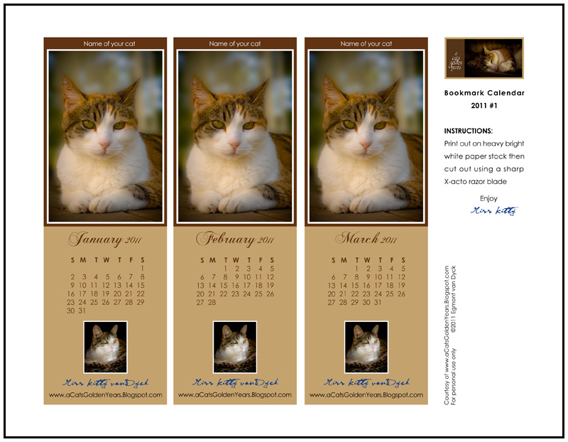 hello kitty january calendar 2011. Hello Kitty January Calendar. hello kitty box template