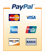 Online Payment Processor - PayPaL