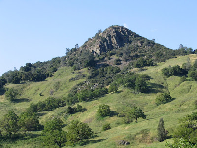 Coe State Park