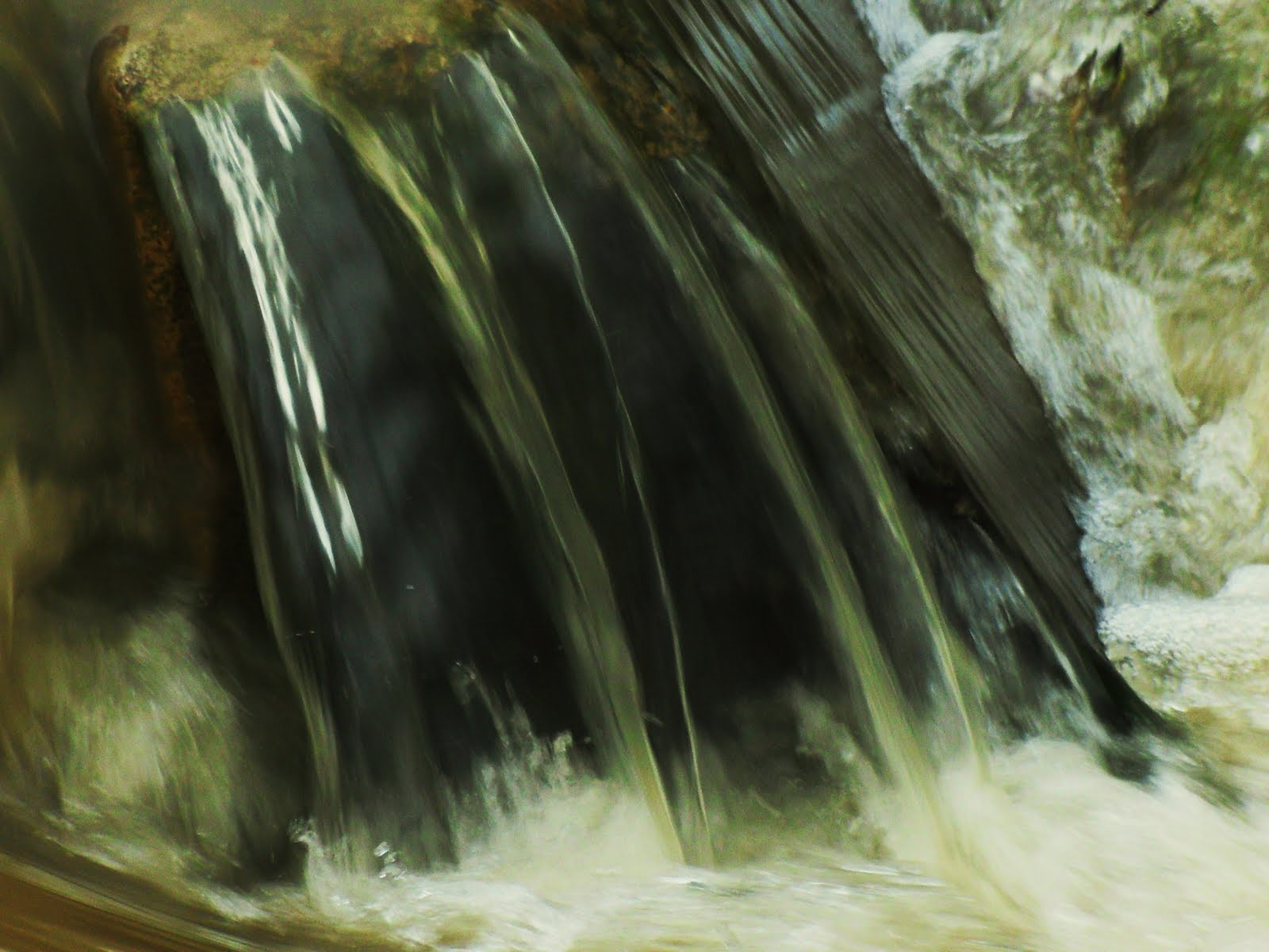 [SDC10980.JPG]