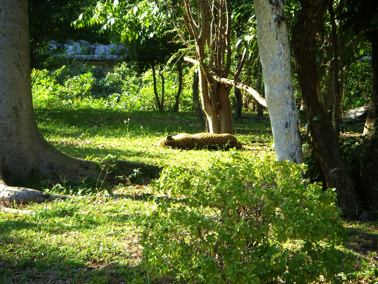 [PIC00393.JPG]