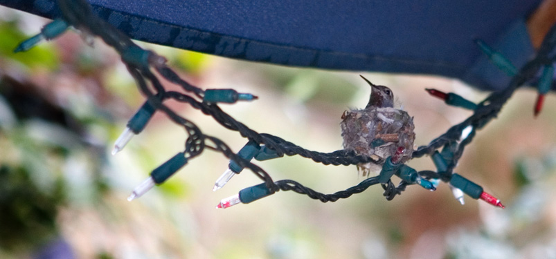 [20080127_2407+(2)+blog.jpg]