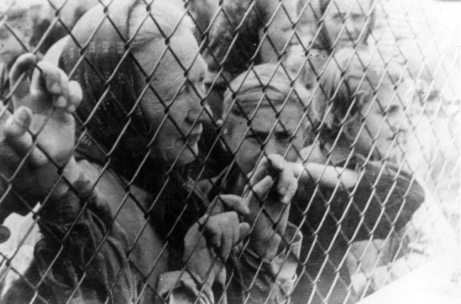 briar rose holocaust