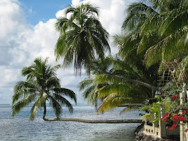 Tahiti Photograph