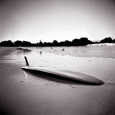 Surflodgenosedevilbottomwww.jpg
