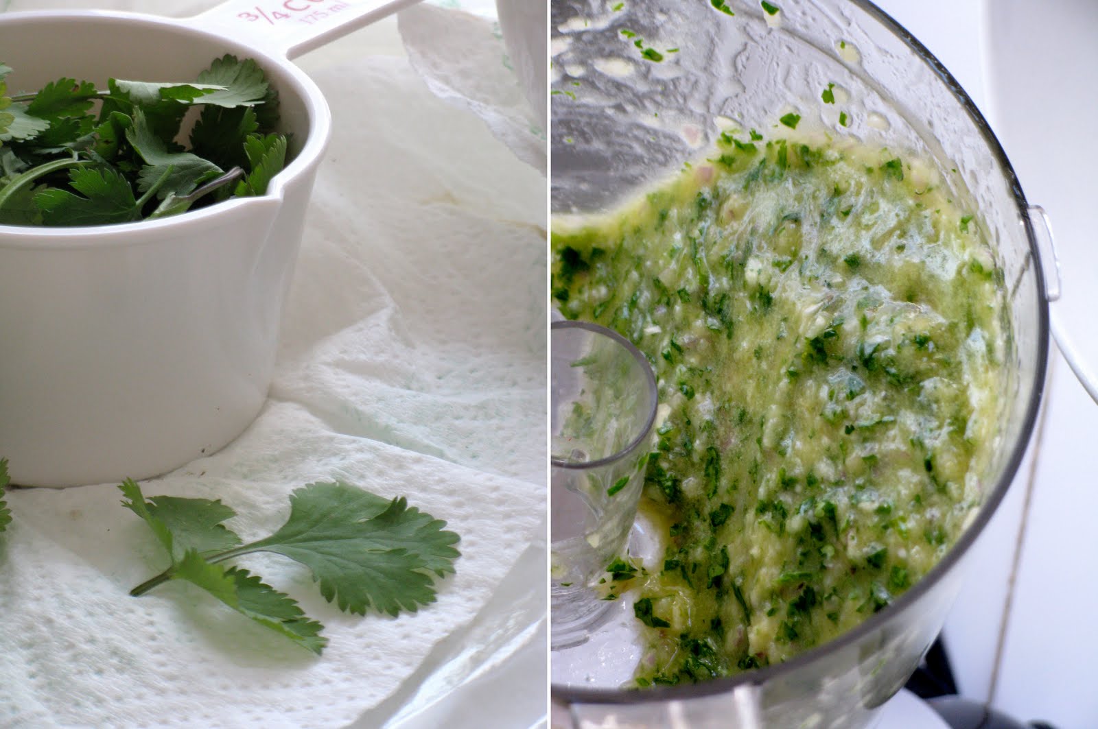 The Cilantropist Oven Roasted GrapefruitCilantro Chicken