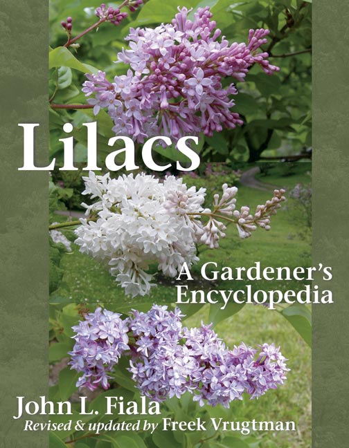 Gardener S Word Lovely Lilacs Syringas In May