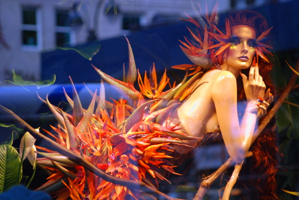 [MACYSFlowershow7.jpg]