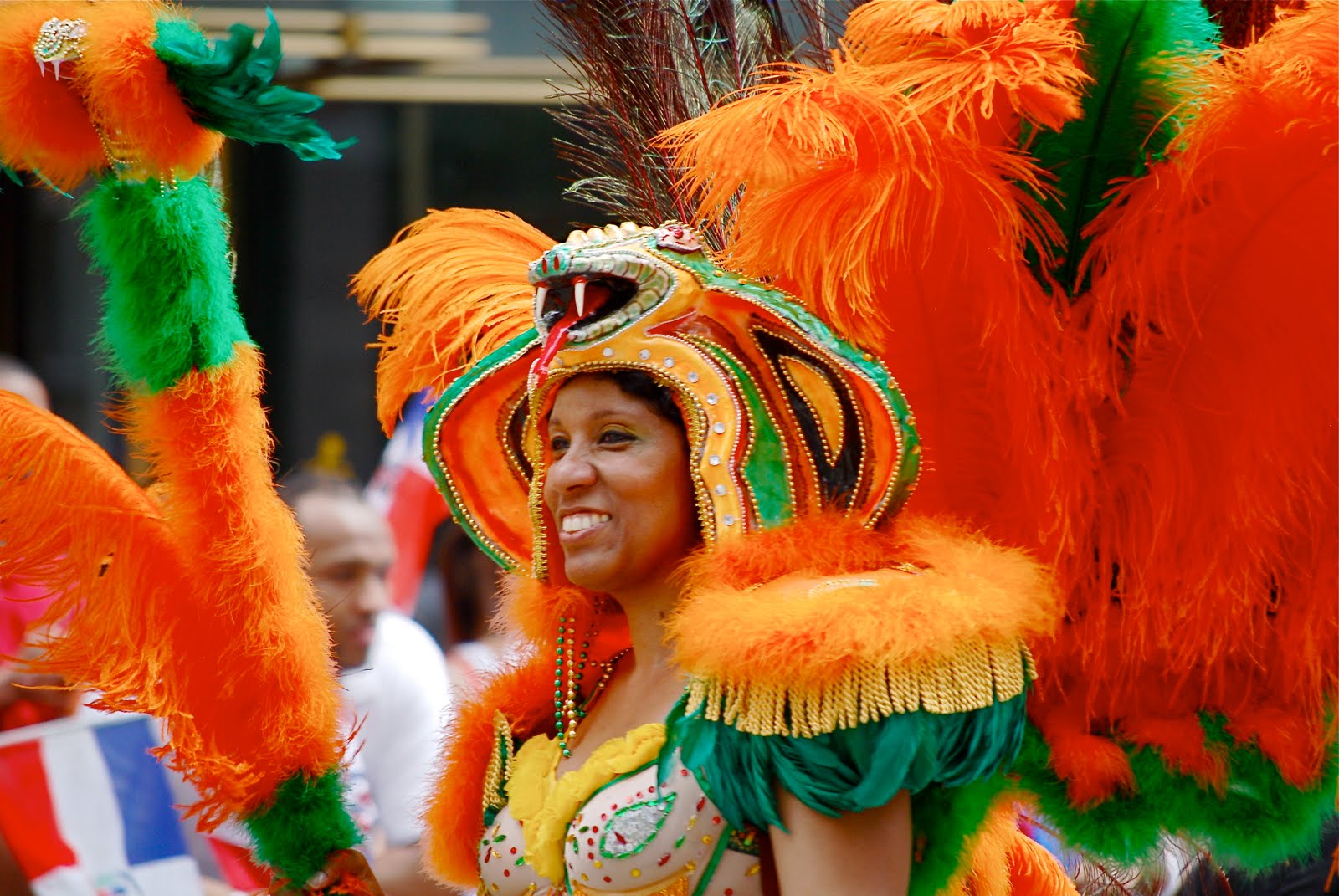 Image result for dominican day parade nyc