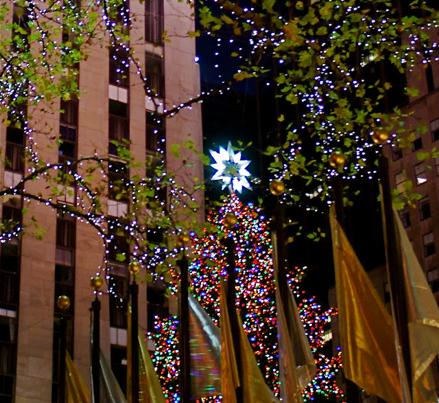 NYC ♥ NYC Christmas Trees in Manhattan