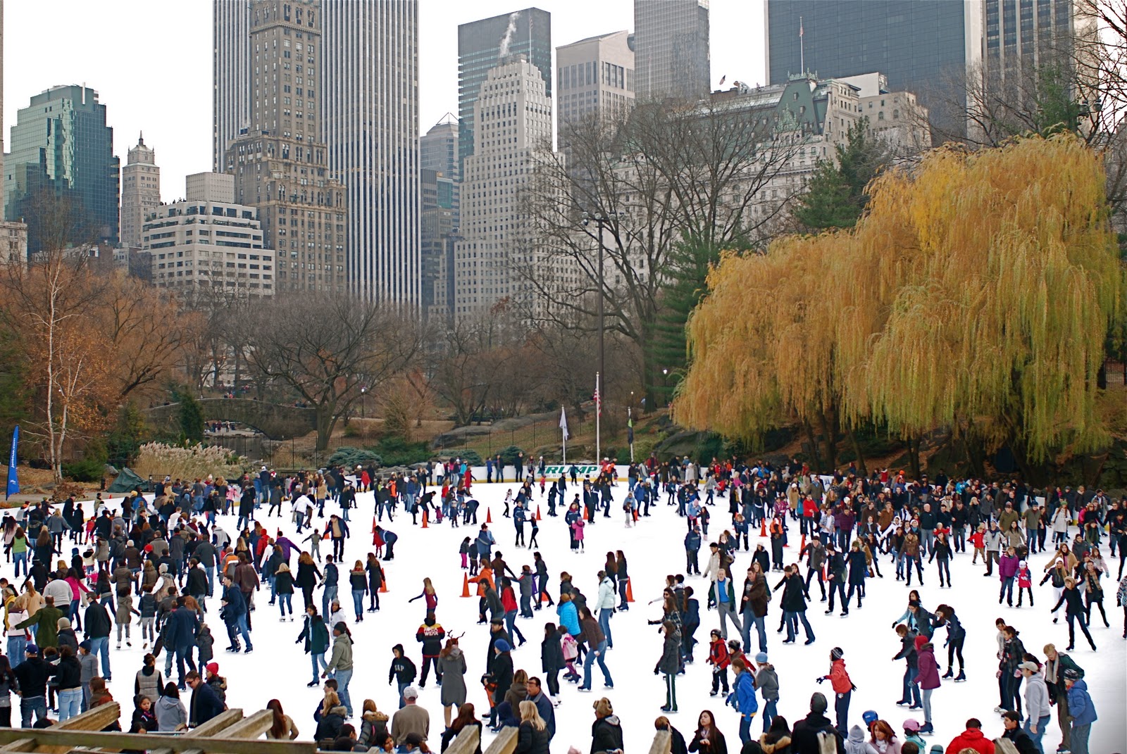 NYC ♥ NYC Ice Skating In The City
