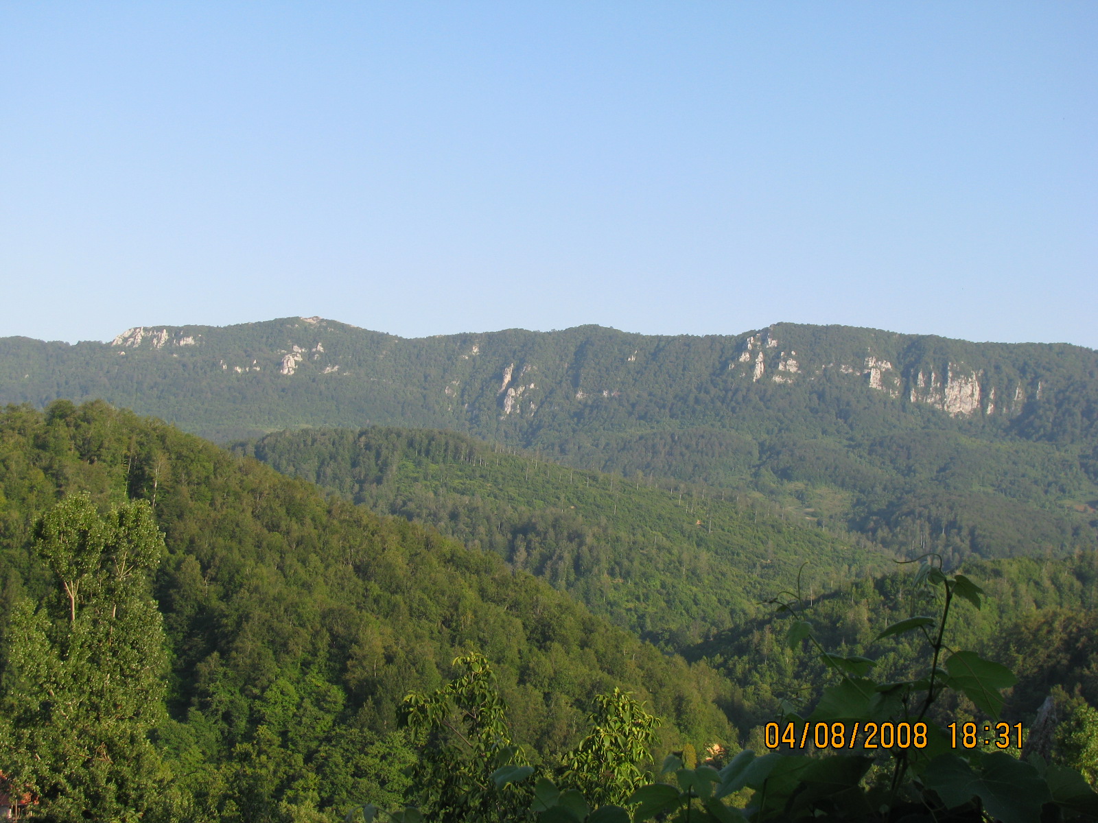 [Bartınlı+arıcı++2360.jpg]