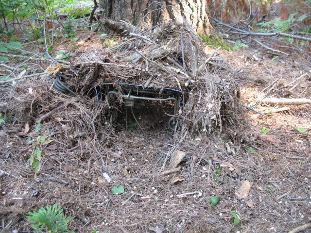 Trapping Supplies Review: The Cubby Set