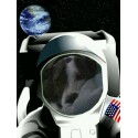Silly Jessica in space